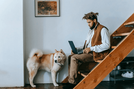 Starting a New Home-Based Business? Here Are Three Ways To Create The Perfect Workspace
